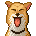 犬